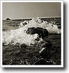 Black and white photograph by Ivey Abitz