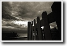 Black and white photograph by Ivey Abitz