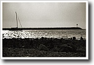 Black and white photograph by Ivey Abitz