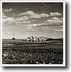 Black and white photograph by Ivey Abitz