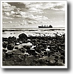 Black and white photograph by Ivey Abitz