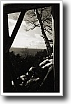 Black and white photograph by Ivey Abitz
