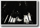 Black and white photograph by Ivey Abitz