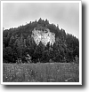 Black and white photograph by Ivey Abitz