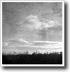 Black and white photograph by Ivey Abitz