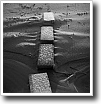 Black and white photograph by Ivey Abitz