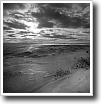 Black and white photograph by Ivey Abitz