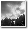 Black and white photograph by Ivey Abitz