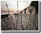 Sunset 26 x 32 in. oil on canvas 2003 gallery piece, sold