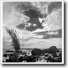 Cloud formation, Joshua Ivey Abitz, 2002, 10 x 10 in. silver gelatin fiber based print