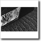 Cement hand, Cynthia Ivey Abitz, 2001