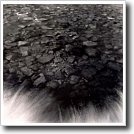 Water #2, Joshua Ivey Abitz, 2003