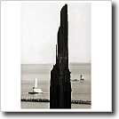 Tree study Joshua Ivey Abitz, 2002 8 x 10 in. silver gelatin fiber based print