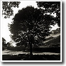 Sunset below Fort Mackinac, Joshua Ivey Abitz, 2002, 10 x 10 in. silver gelatin fiber based print
