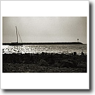Harbor, sunrise Cynthia Ivey Abitz, 2002 8 x 10 in. silver gelatin fiber based print