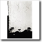 Shadow study, Grand Hotel, Cynthia Ivey Abitz, 2002, 8 x 10 in. silver gelatin fiber based print