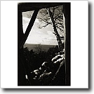 Line study Cynthia Ivey Abitz, 2002 8 x 10 in. silver gelatin fiber based print