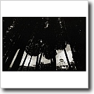 Trees, Grand Hotel, Cynthia Ivey Abitz, 2002, 8 x 10 in. silver gelatin fiber based print