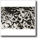 Snow covered horseshoes Cynthia Ivey Abitz, 2002 8 x 10 in. silver gelatin fiber based print