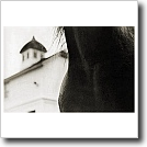 Horse and carriage barn Cynthia Ivey Abitz, 2002 11 x 14 in. silver gelatin fiber based print