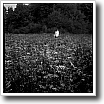 Gas Mask black and white photograph by Joshua Ivey Abitz
