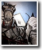 Oil painting by Cynthia Ivey Abitz